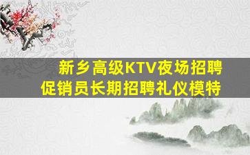 新乡高级KTV夜场招聘促销员长期招聘礼仪模特